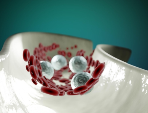 Nattokinase: Das thrombolytische Enzym der Zukunft?