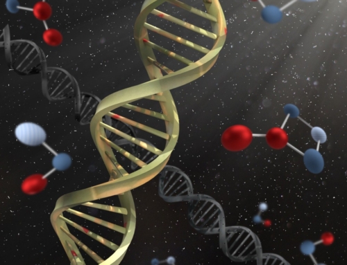 Prädiktive Genetik: Was Gene über Übergewicht, Cholesterin und den metabolischen Zustand aussagen