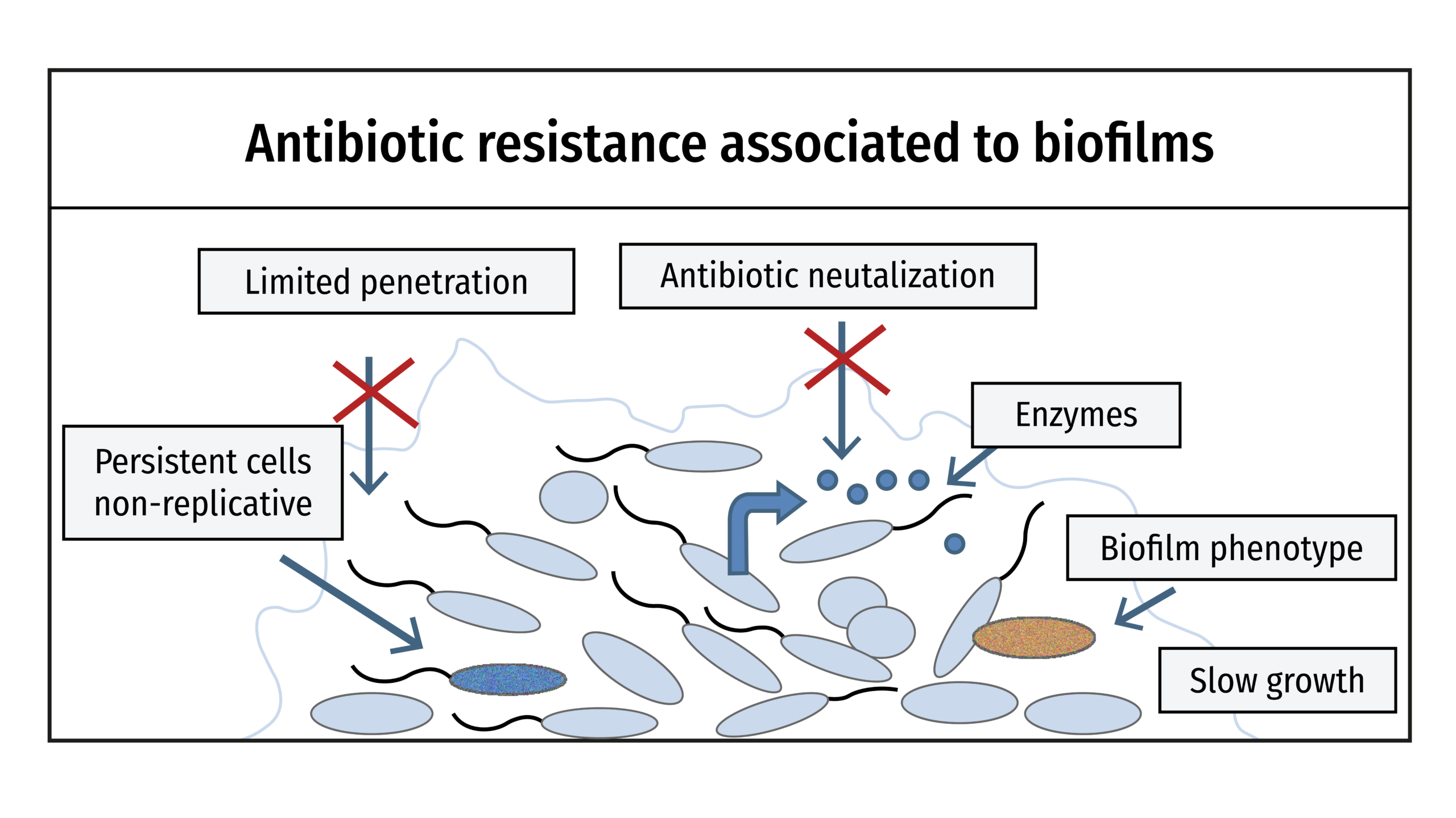Antibiotik Grafik_Zeichenfläche 1
